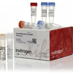 Thermo Fisher Scientific GeneArt Genomic Cleavage Detection Kit