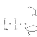 Merck Thymidine-13C10,15N2 5'-triphosphate disodium salt solution