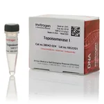 Thermo Fisher Scientific Topoisomerase I