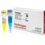 Thermo Fisher Scientific Collibri Library Amplification Master Mix with Primer Mix, 50 reactions