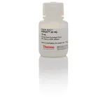 Thermo Fisher Scientific POROS HQ 50 μm Strong Anion Exchange Resin, 10 mL