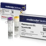 Thermo Fisher Scientific RevertAid Master Mix, with DNase I, 50 reactions