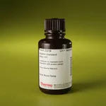 Thermo Fisher Scientific Pierce Bovine Serum Albumin Standard, 2 mg/mL
