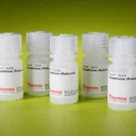 Thermo Fisher Scientific Glutathione