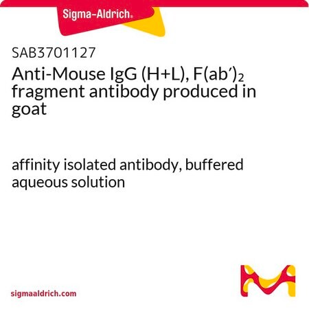 Merck Anti-Mouse IgG (H+L), F(ab')2 fragment antibody produced in goat