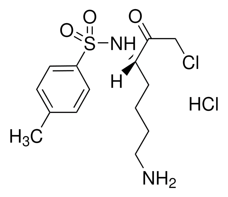 Merck Nalpha-Tosyl-L-lysine chloromethyl ketone hydrochloride