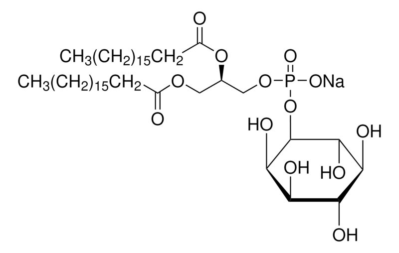 Merck Phosphatidylinositol sodium salt
