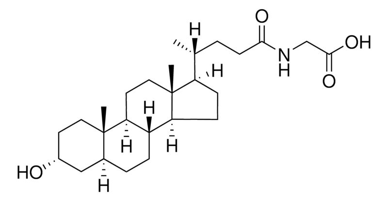 Merck Glycoallolithocholanoic acid
