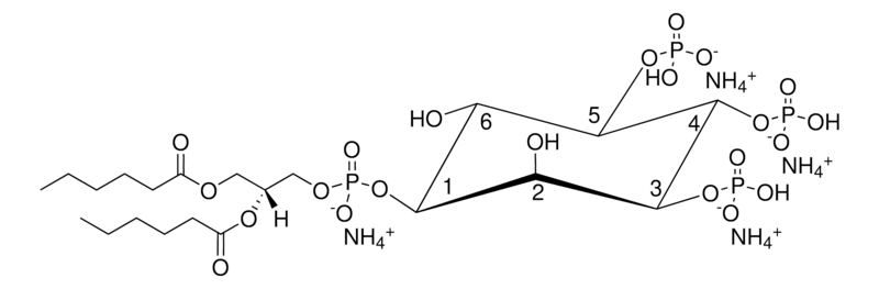Merck 06:0 PI(3,4,5)P3