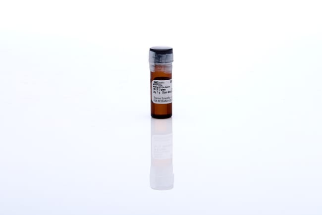Thermo Fisher Scientific MA(PEG)4 Methyl-PEG-Amine Compound, 1 g