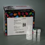Thermo Fisher Scientific Pierce HRV 3C Protease Solution Kit (2 units/μL), 1000 U