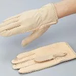 AS ONE Pigskin Glove, 돈피장갑