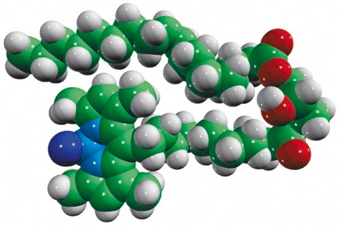 Merck 18:1-C11 TopFluor(R) DG