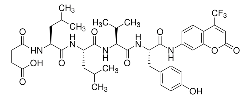 Merck N-Succinyl-Leu-Leu-Val-Tyr-7-amido-4-trifluoromethylcoumarin