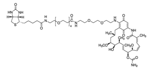 Merck GELDANAMYCIN-BIOTIN