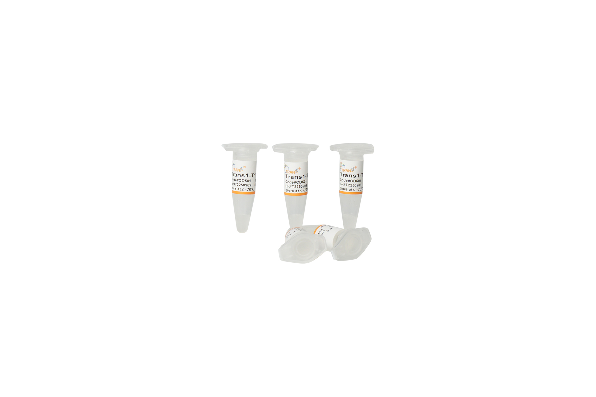 Trans1-T1 Phage Resistant Chemically Competent Cell