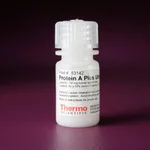 Thermo Fisher Scientific Pierce Protein A Plus UltraLink Resin