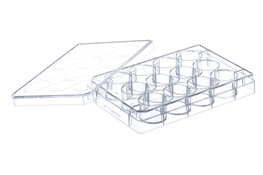 Greiner Bio One CELL CULTURE MULTIWELL PLATE, 12 WELL, PS,CLEAR, ADVANCED TC, LID WITH CONDENSATION RINGS, STERILE, SINGLE PACKED