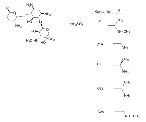 Merck GENTAMICIN SULFATE, MEETS USP TESTING SP