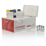 Thermo Fisher Scientific USP15 Polyclonal Antibody