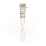 Thermo Fisher Scientific M13/pUC Sequencing Primer (-46), 22-mer