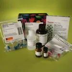 Thermo Fisher Scientific GlycoLink Micro Immobilization Kit
