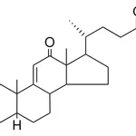 Merck METHYL 3,12-DIOXO-5-BETA-CHOL- - 1 MG&