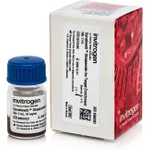 Thermo Fisher Scientific Dynabeads Streptavidin for Target Enrichment, 2 mL