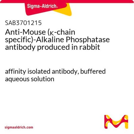 Merck Anti-Mouse (kappa-chain specific)-Alkaline Phosphatase antibody produced in rabbit
