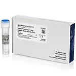 Thermo Fisher Scientific TaqMan Fast Virus 1-Step Multiplex Master Mix for qPCR (No ROX), 1 x 1 mL