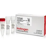 Thermo Fisher Scientific Quantu<u>mRNA</u> Classic II 18S Internal Standard