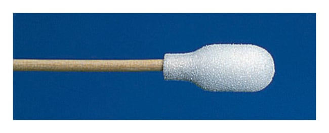 Thermo Fisher Scientific Fisher Branded PurSwab 6 in. Large Foam over Cotton Swab w/Wooden Handle