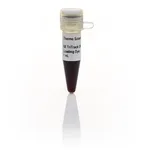Thermo Fisher Scientific TriTrack DNA Loading Dye (6X)