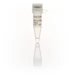Thermo Fisher Scientific RiboLock RNase Inhibitor (40 U/μL), 2,500 units