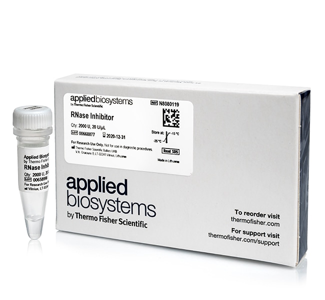 Thermo Fisher Scientific RNase Inhibitor