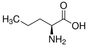 Merck L-NORVALINE. ARGINASE INHIBITOR