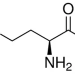 Merck L-NORVALINE. ARGINASE INHIBITOR