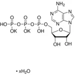 Merck ADENOSINE 5-TRIPHOSPHATE DIPOTASSIUM&