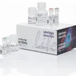 Thermo Fisher Scientific Click-iT Plus OPP Alexa Fluor 594 Protein Synthesis Assay Kit