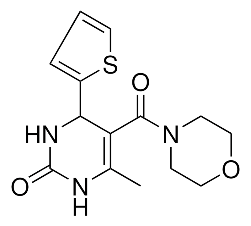 Merck 6-METHYL-5-(4-MORPHOLINYLCARBONY-