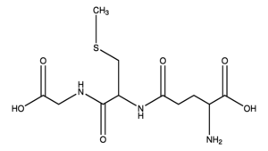 Merck S-METHYLGLUTATHIONE