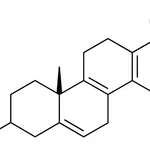 Merck 7-METHOXY-4A-METHYL-1,2,3,4,4A - 25 MG&