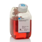 Thermo Fisher Scientific DMEM, high glucose, no glutamine, no methionine, no cystine