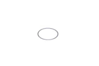 Waters O-Ring, FKM, 28 x 1 mm