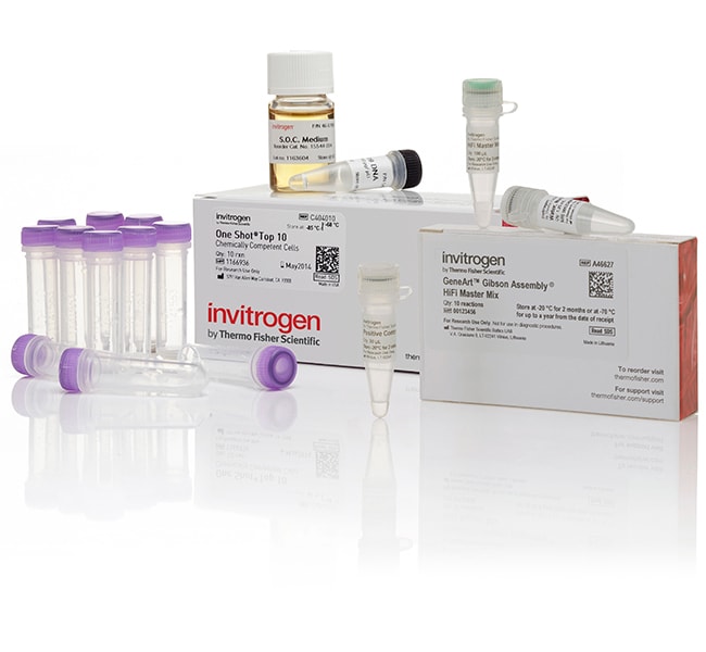 Thermo Fisher Scientific GeneArt Gibson Assembly HiFi Cloning Kit, chemically competent cells