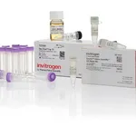 Thermo Fisher Scientific GeneArt Gibson Assembly HiFi Cloning Kit, chemically competent cells