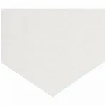 Thermo Fisher Scientific Chromatography, Electrophoresis and Blotting Paper, Grade 320