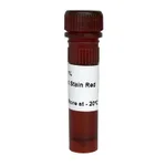 APBIO AP Nucleic Acid stain Red (6X)