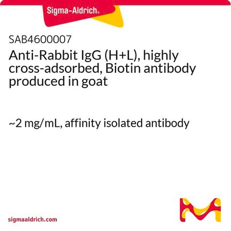 Merck Anti-Rabbit IgG (H+L), highly cross-adsorbed, Biotin antibody produced in goat