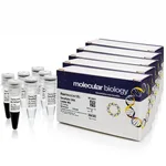 Thermo Fisher Scientific GeneRuler DNA Ladder Mix